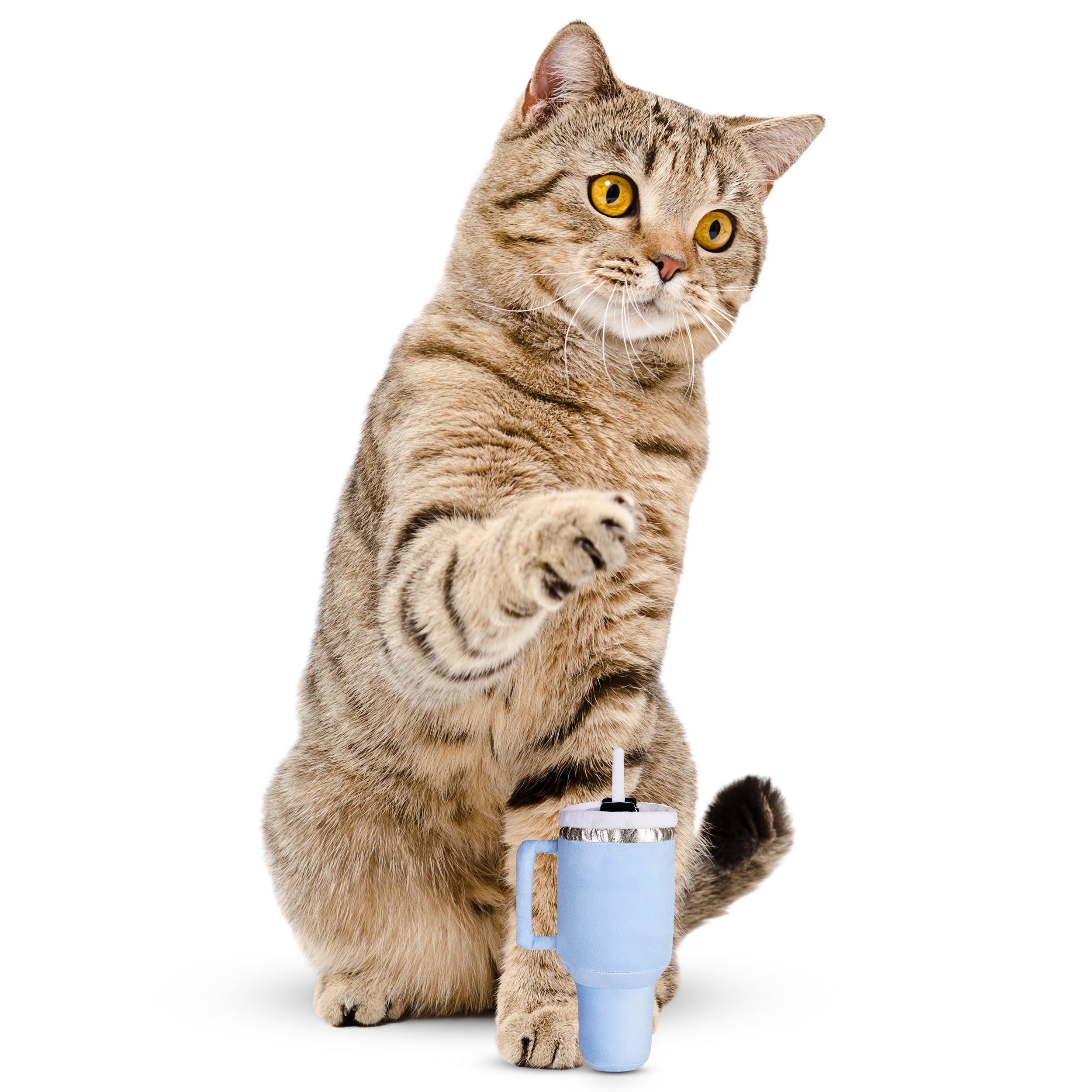 Cat Tumbler Toy with Catnip