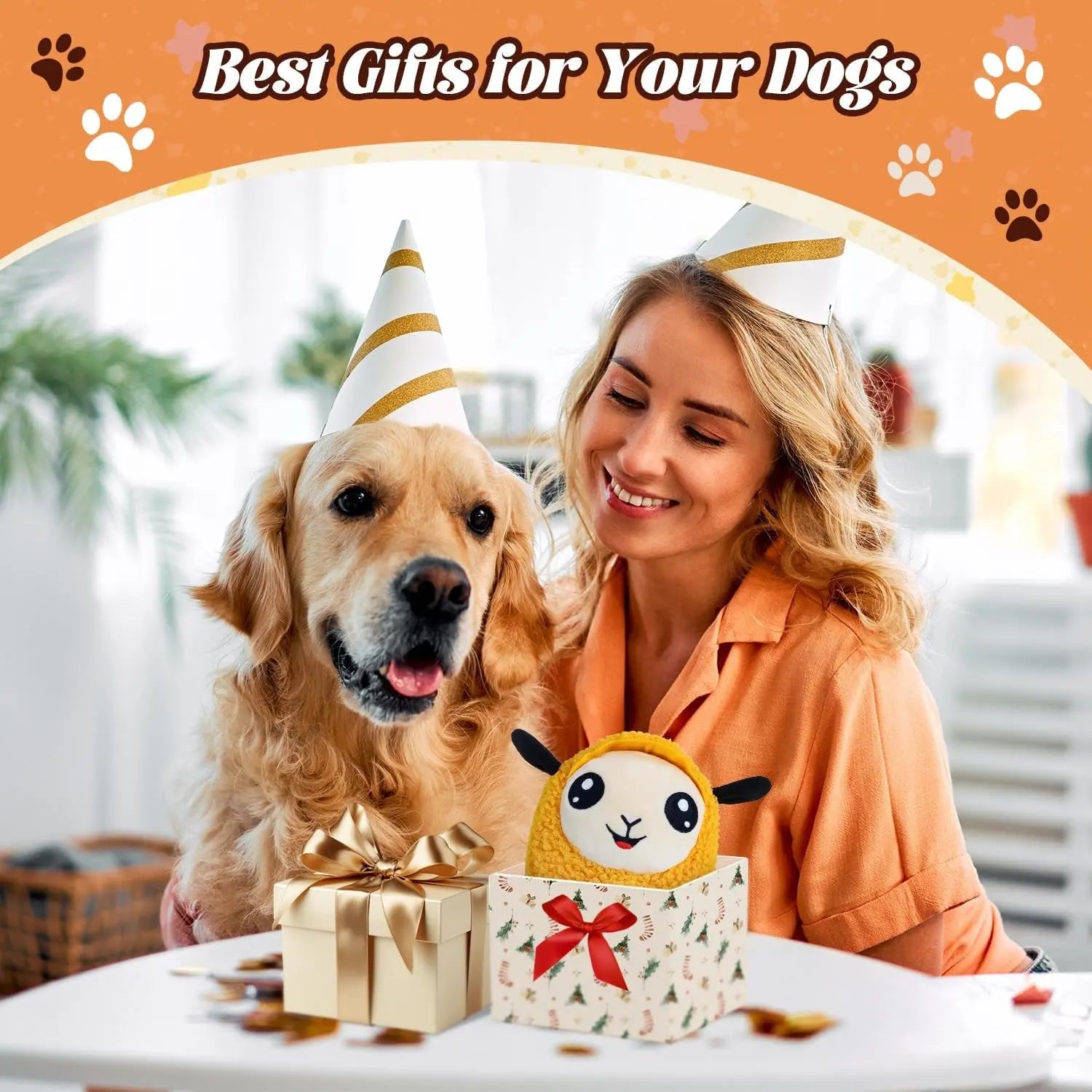 Interactive Squeak Toy