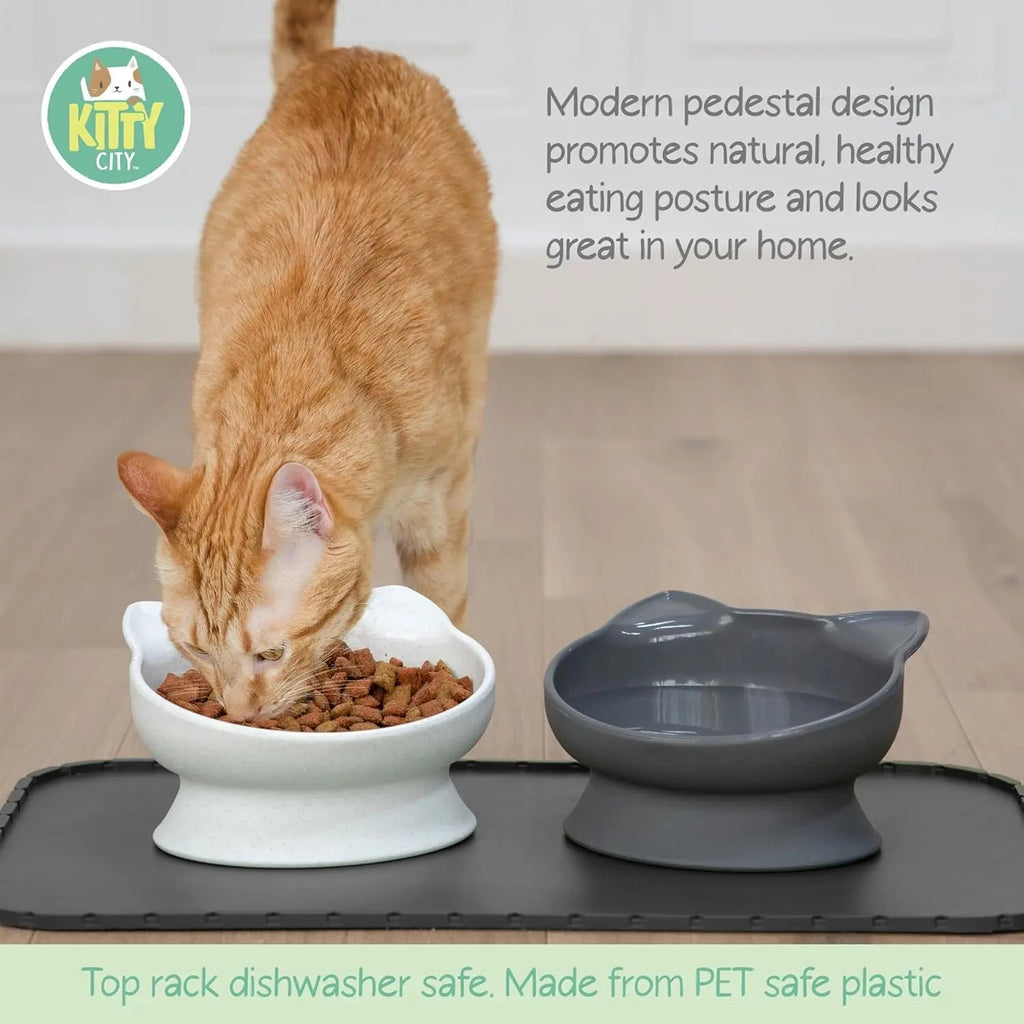 Set Elevated Cat Bowls