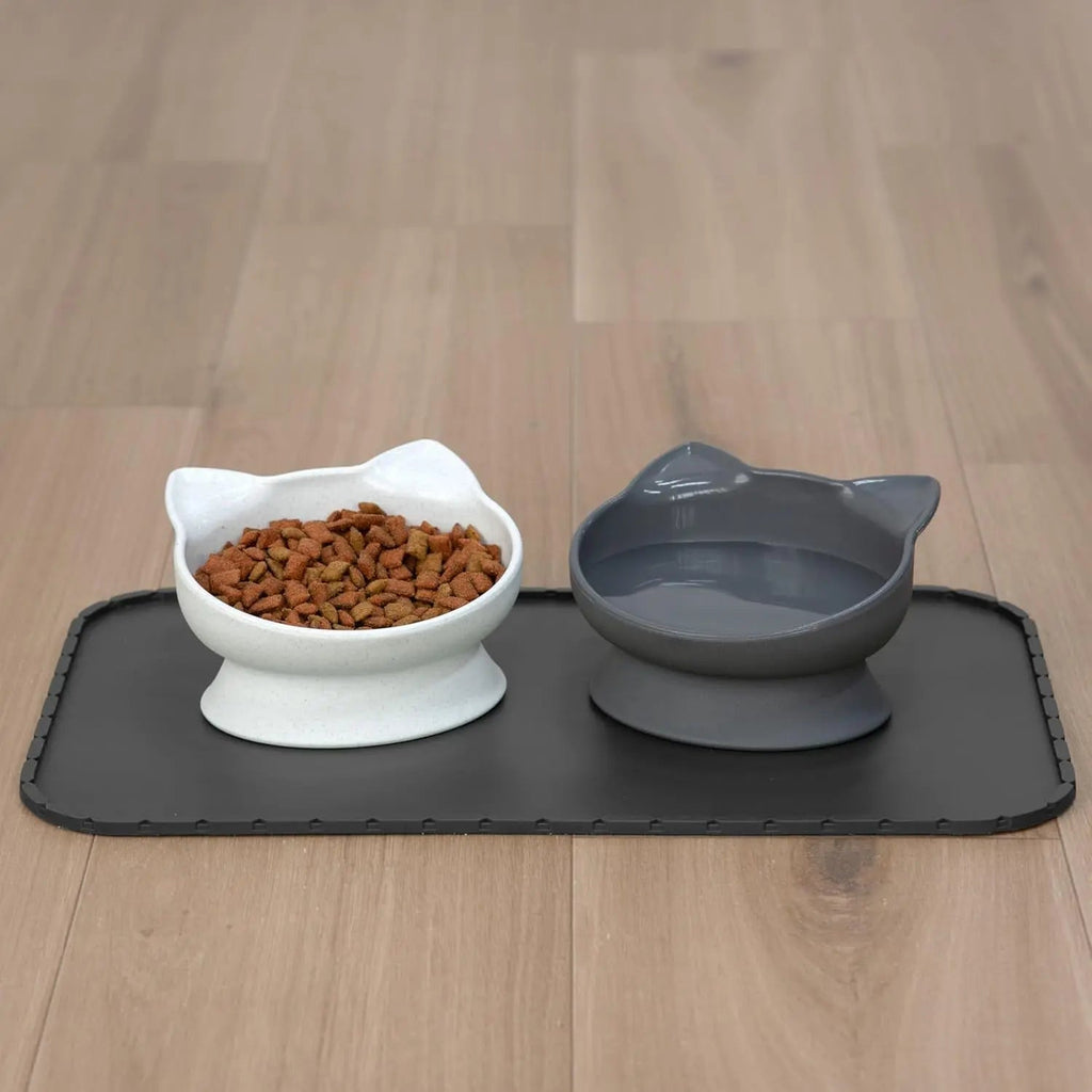 Set Elevated Cat Bowls
