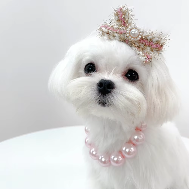Pearl Collar Necklace