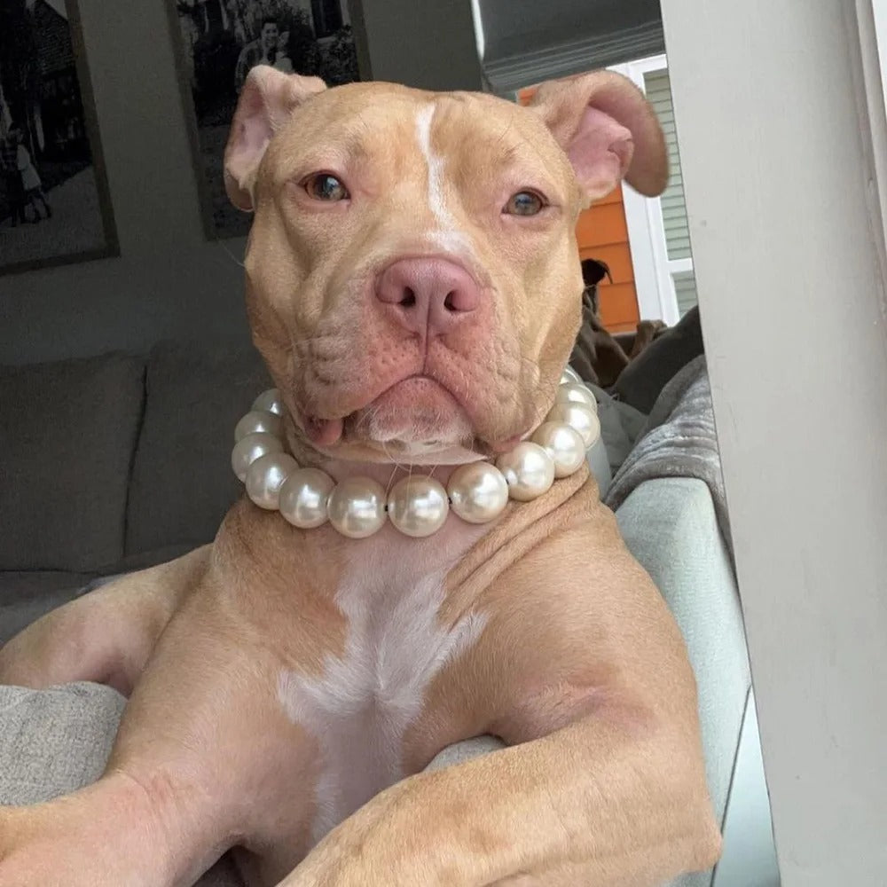 Pearl Collar Necklace