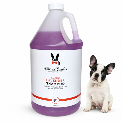 Calming Lavender Dog Shampoo w/Aloe Vera & Essential Oils - Professional Size