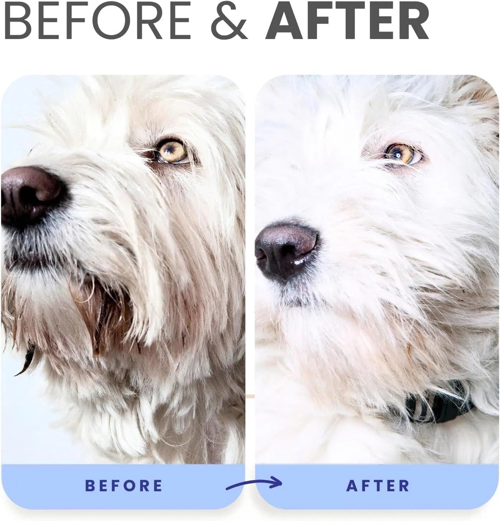 Lillian Ruff Berry Blue Brightening Dog Shampoo & Conditioner Set