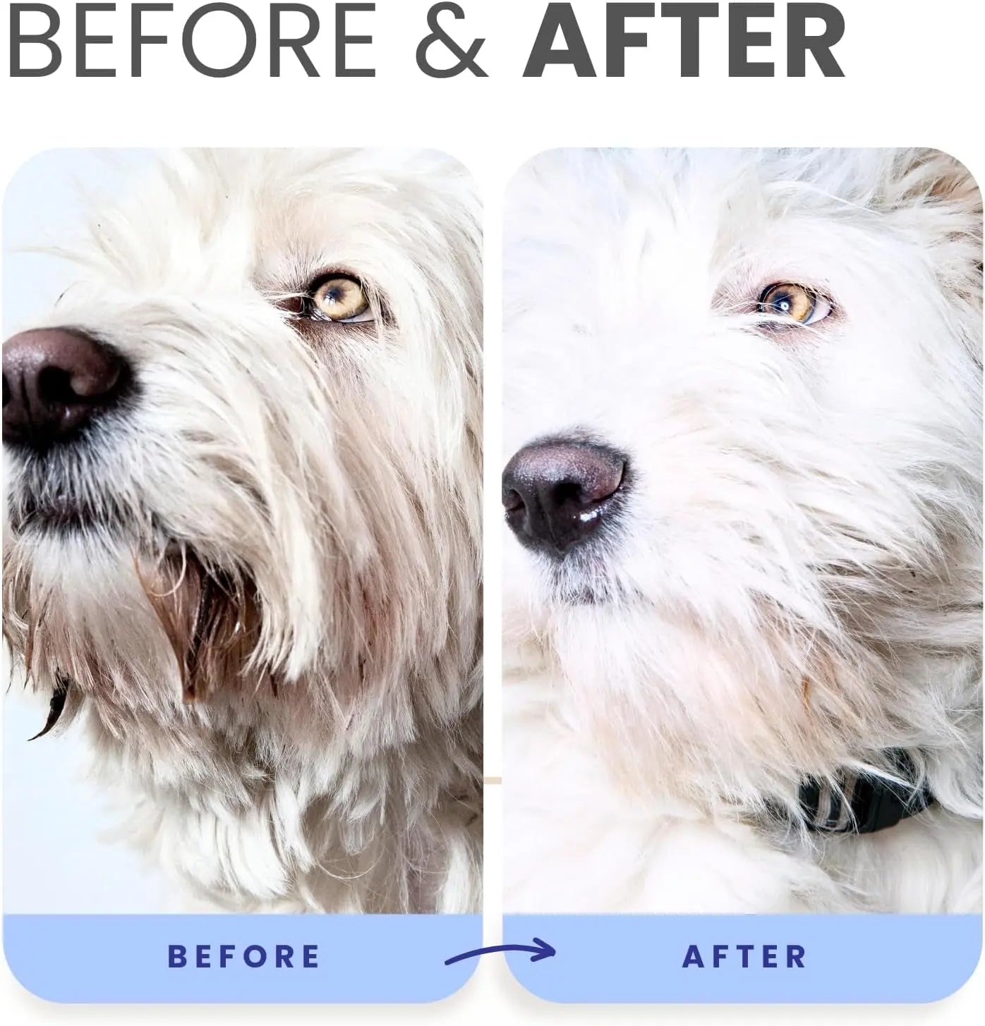 Lillian Ruff Berry Blue Brightening Dog Shampoo & Conditioner Set