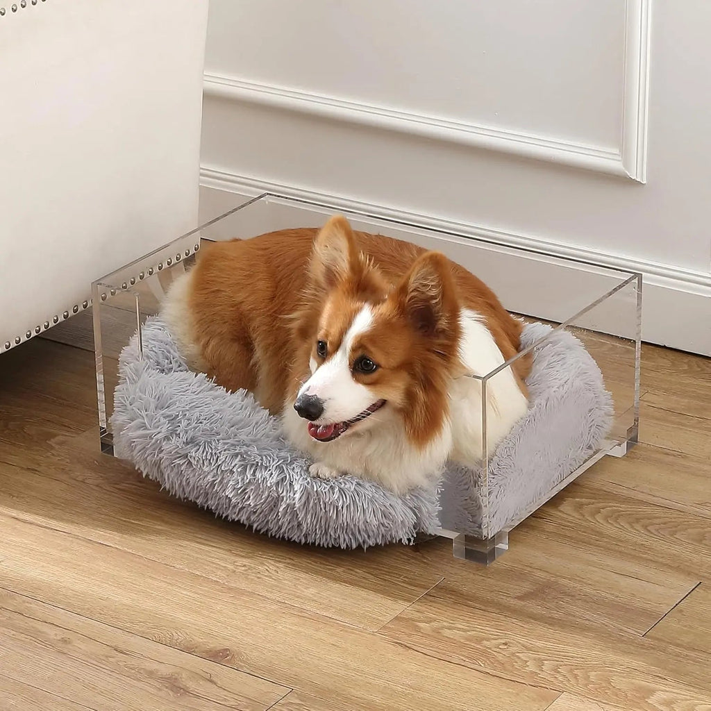 Modern Acrylic Pet Bed & Feeder Set