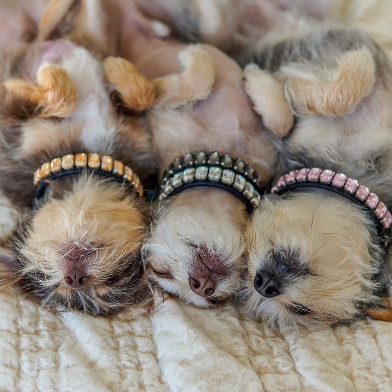 Pet Rhinestone Collar