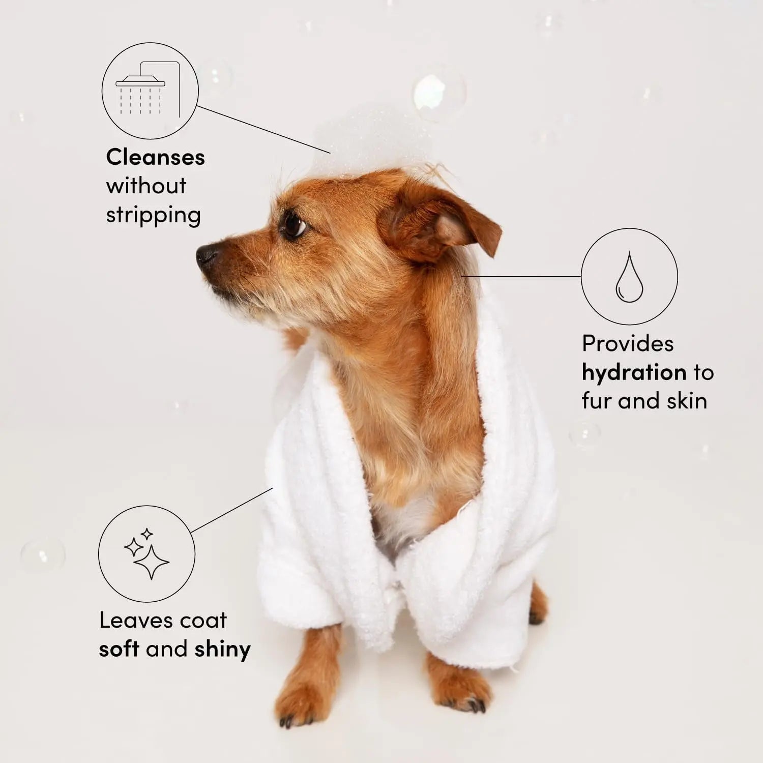 OUAI Fur Baby Pet Shampoo