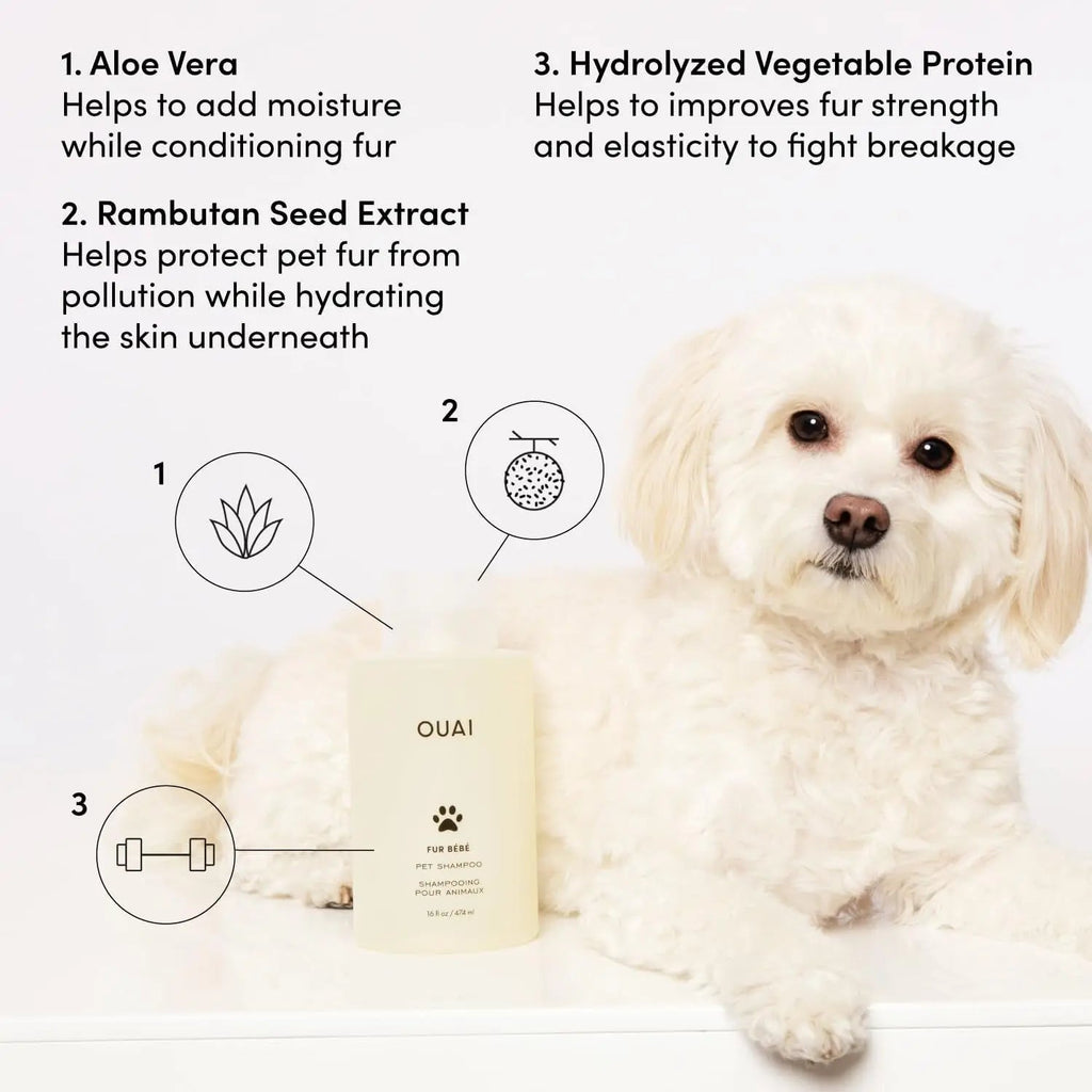 OUAI Fur Baby Pet Shampoo