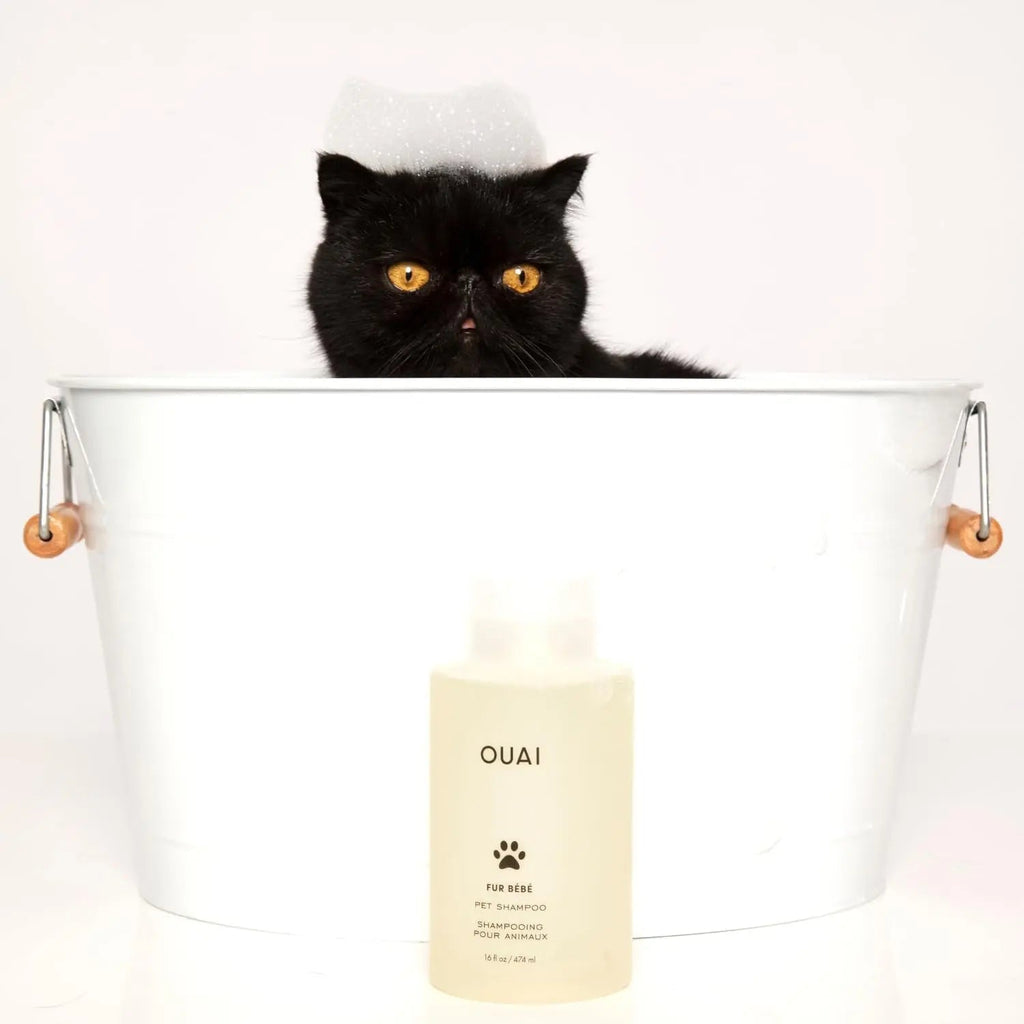 OUAI Fur Baby Pet Shampoo