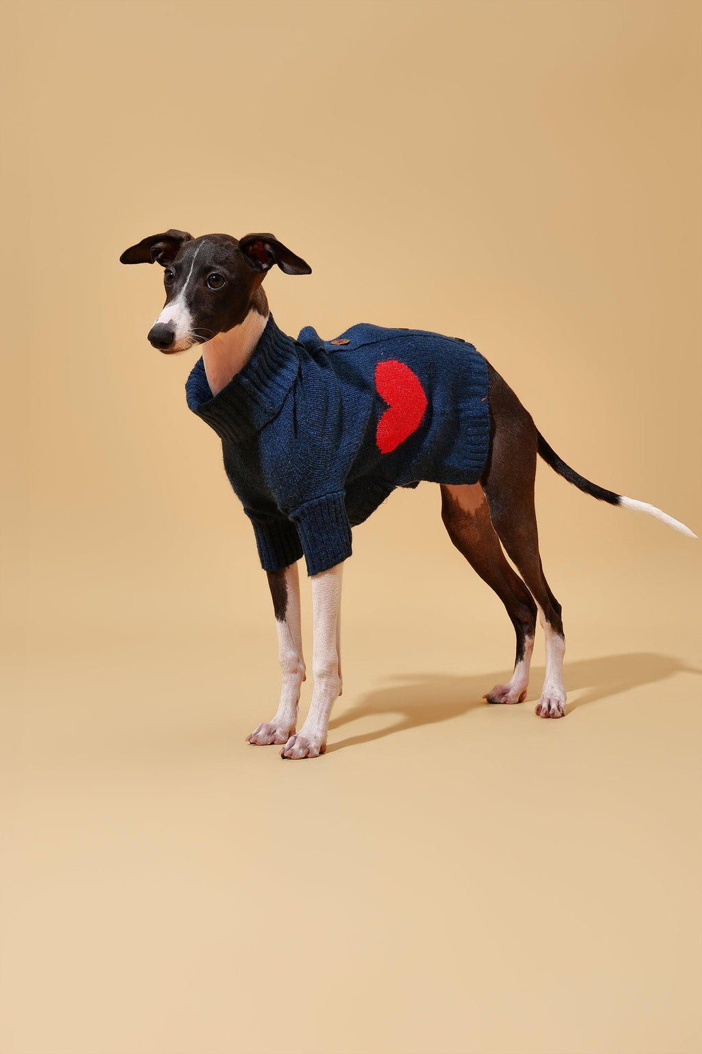 Heart to Heart Button-Up Cardigan Sweater