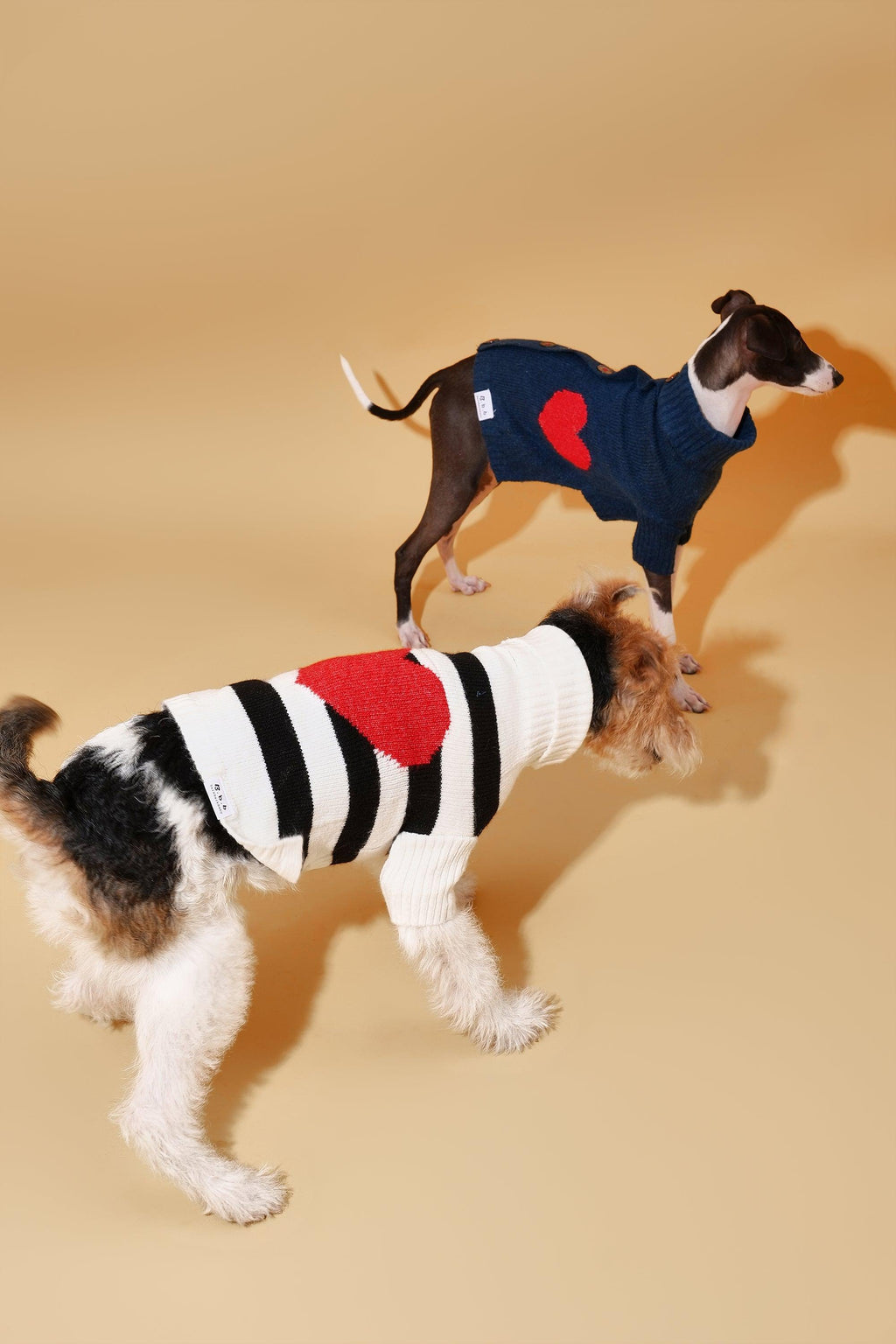 Heart to Heart Button-Up Cardigan Sweater