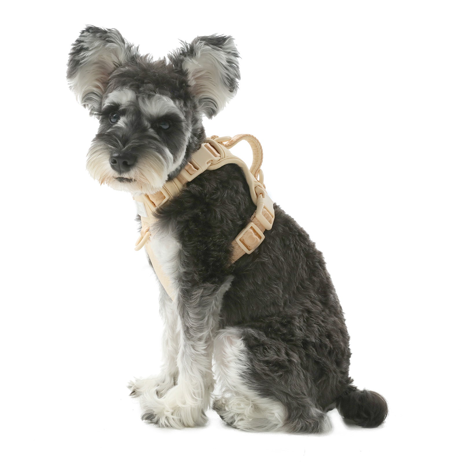 No Pull Dog Harness- APRICOT