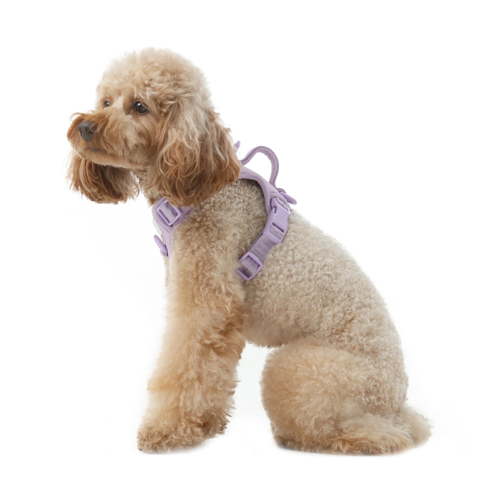 No Pull Dog Harness - MINT PURPLE