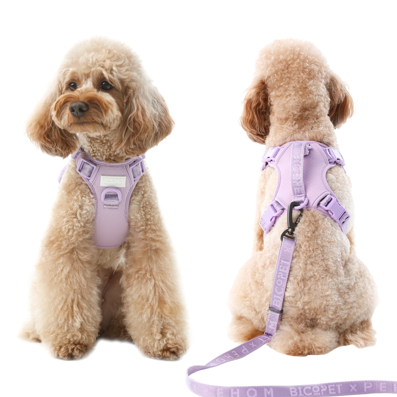 No Pull Dog Harness - MINT PURPLE