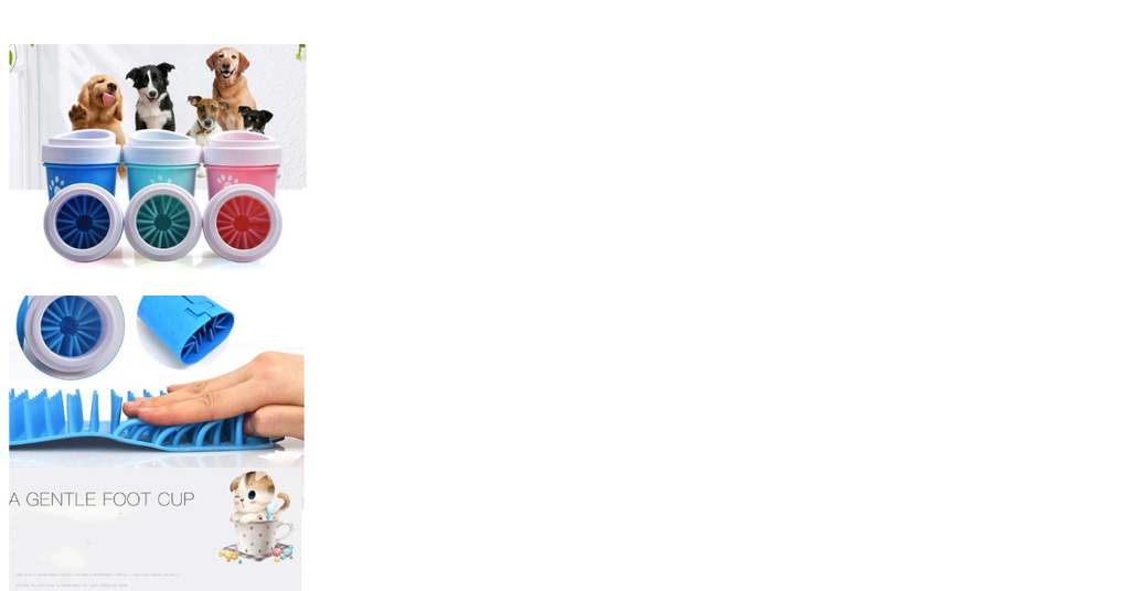 Clean your paws after your walk at the park!!