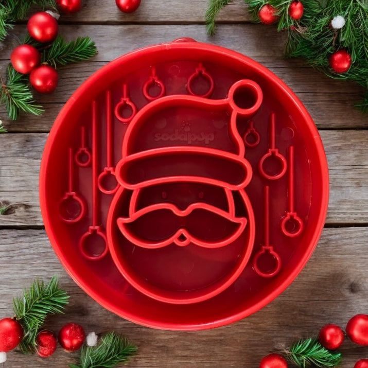 Santa Slow Feeder