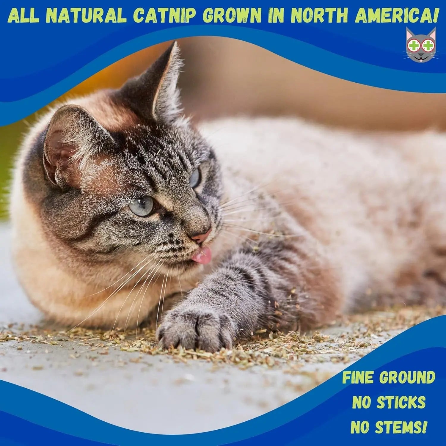Premium Stalkless Strong Catnip