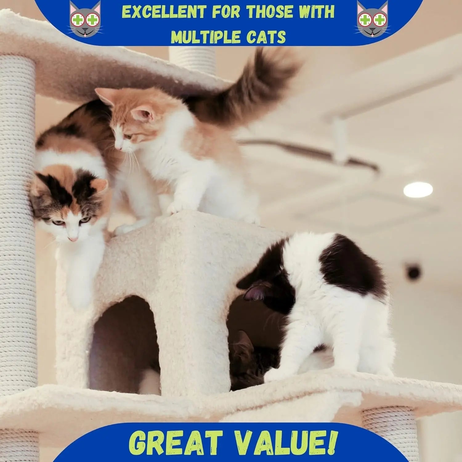 Premium Stalkless Strong Catnip