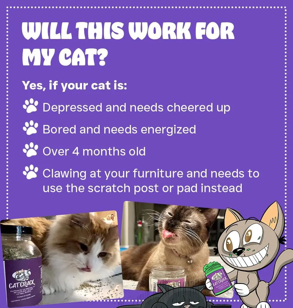 Premium Natural Catnip