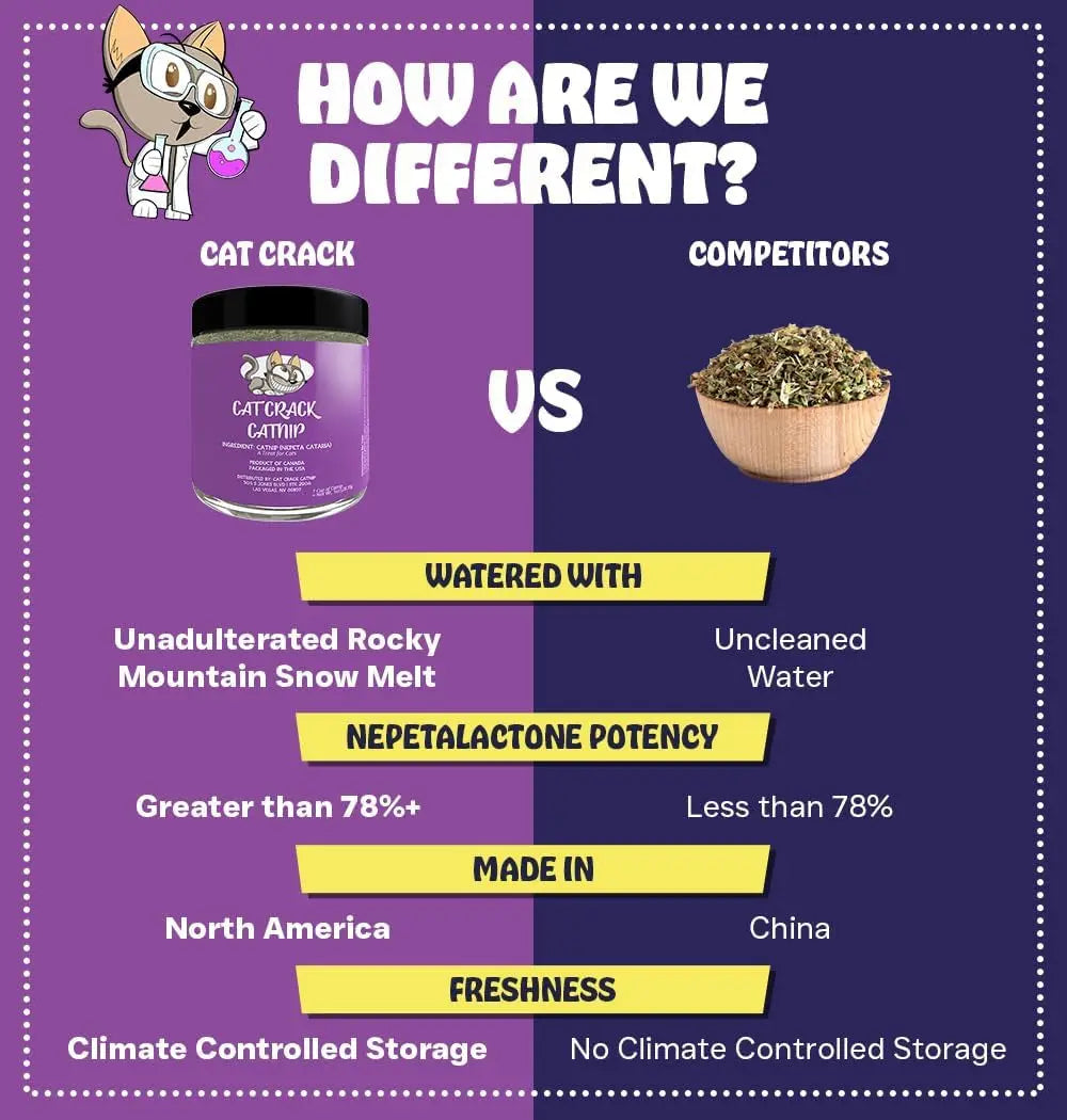 Premium Natural Catnip