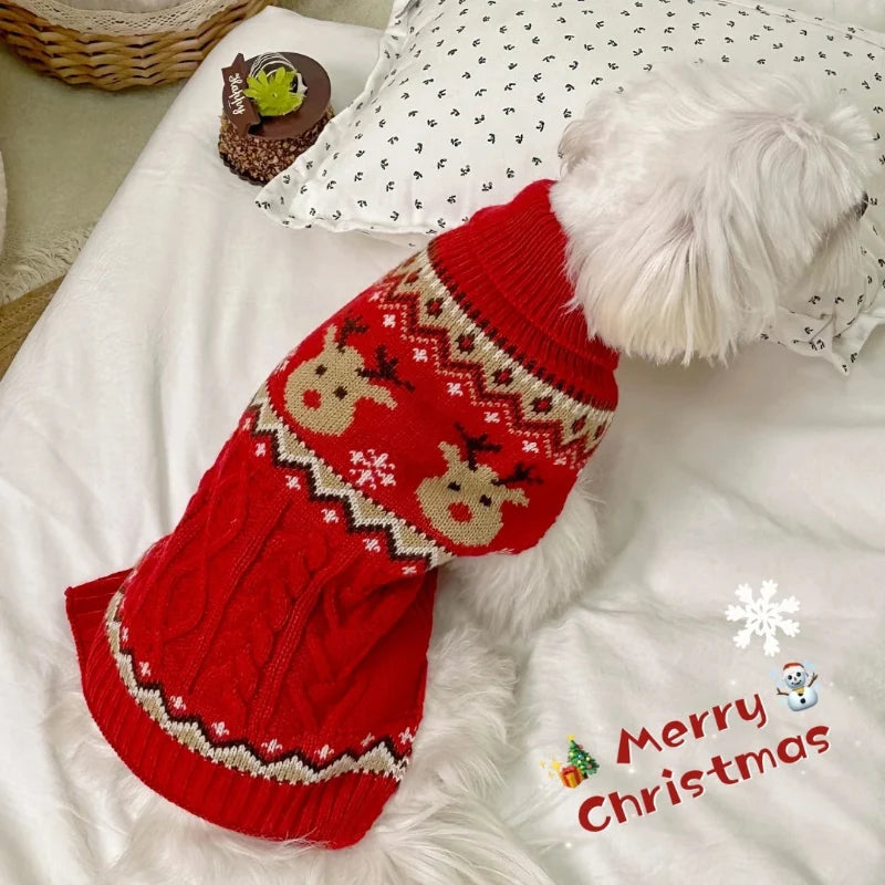 Rudolph Cable Knit Dog Sweater