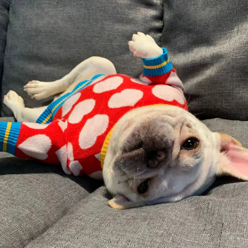 Red Heart Dog Sweater