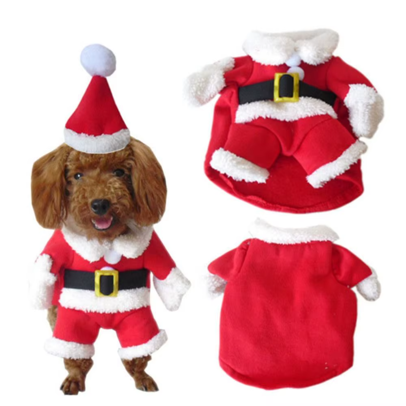 Santa Claus Costume