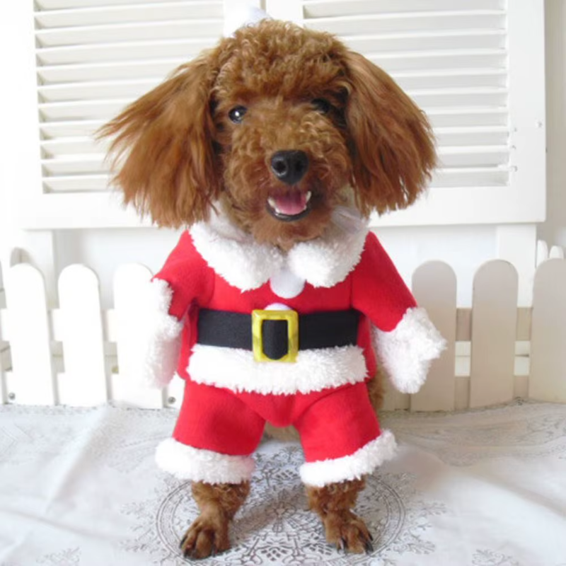 Santa Claus Costume