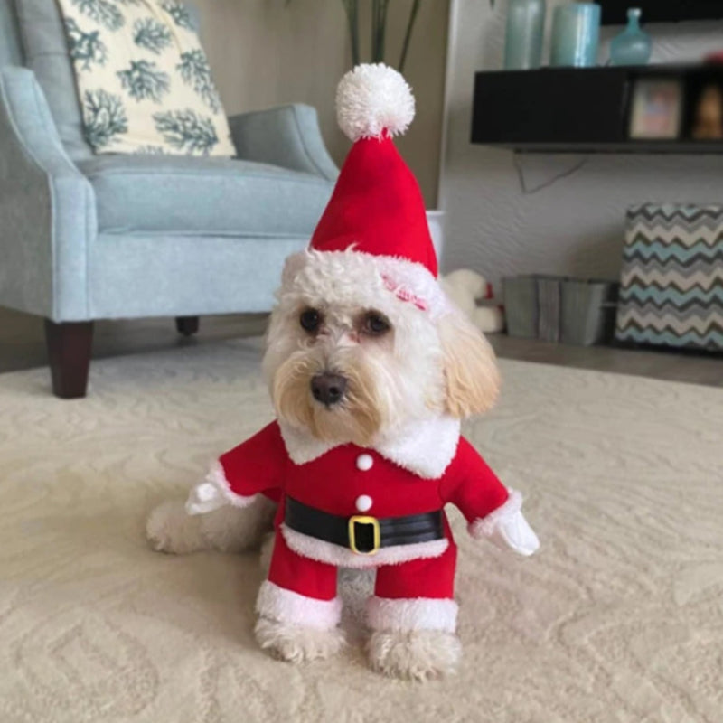 Santa Claus Costume