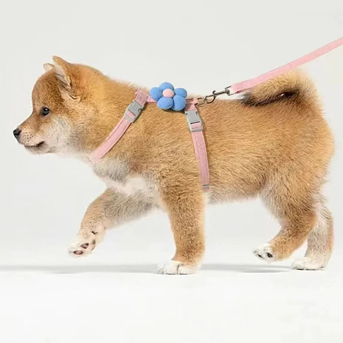 Cat & Dog Harness and Leash Set
