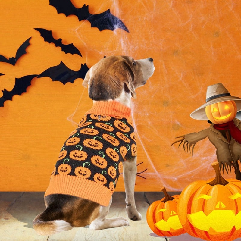Halloween Pumpking Sweater