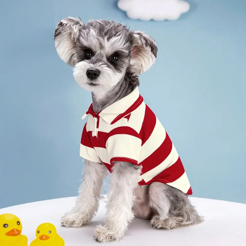 Pet T Shirt for Dogs Cats
