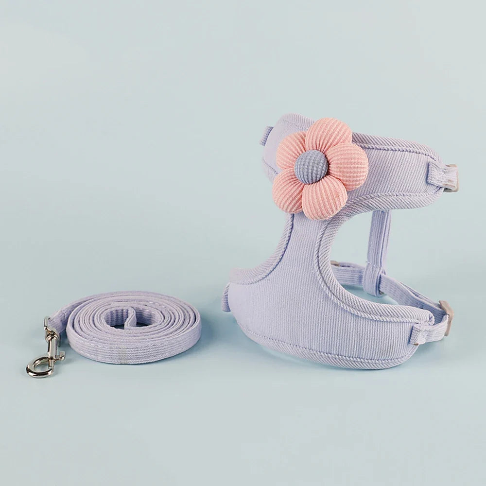 Cat & Dog Harness and Leash Set