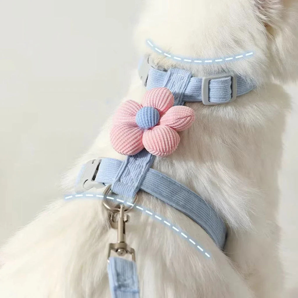 Cat & Dog Harness and Leash Set
