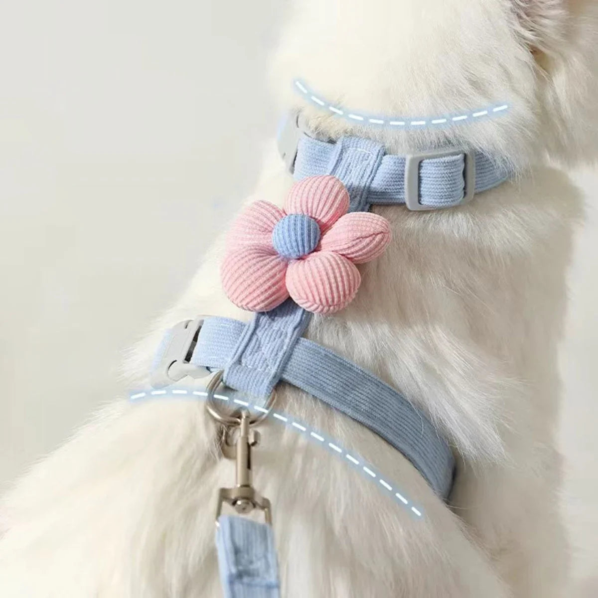 Cat & Dog Harness and Leash Set