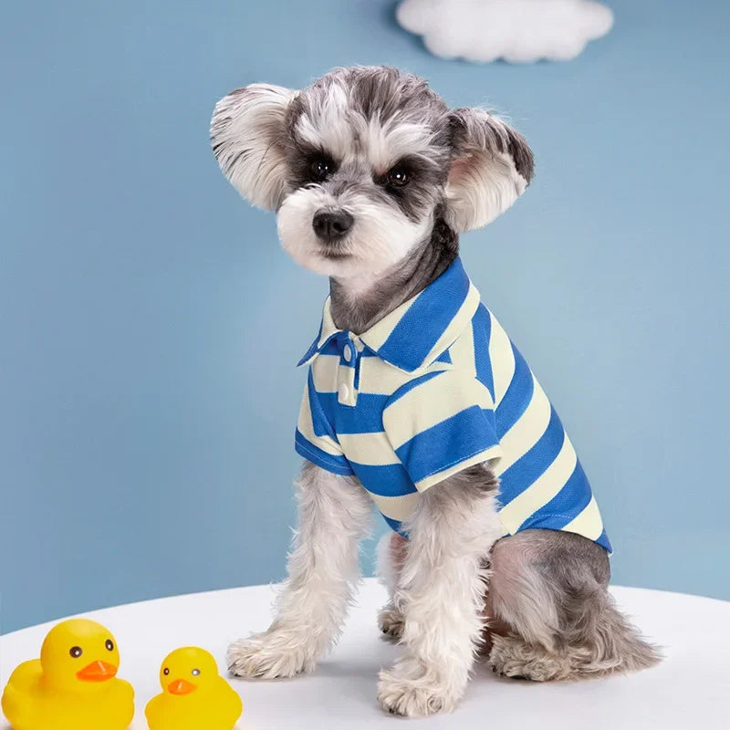 Pet T Shirt for Dogs Cats