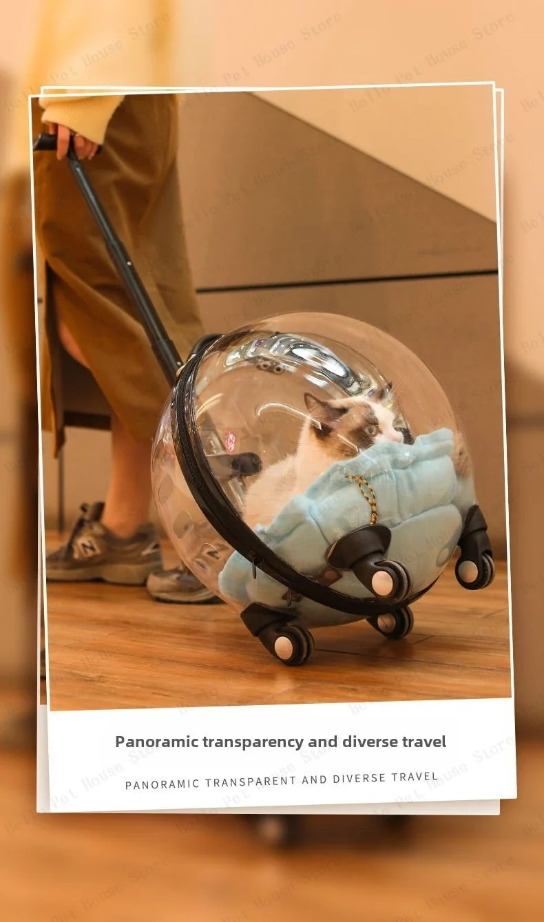 Unique Panoramic Cat Trolley