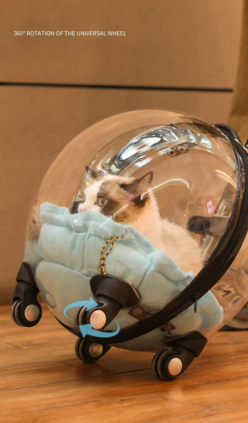 Unique Panoramic Cat Trolley