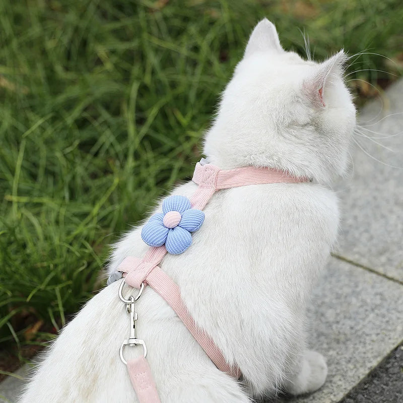Cat & Dog Harness and Leash Set