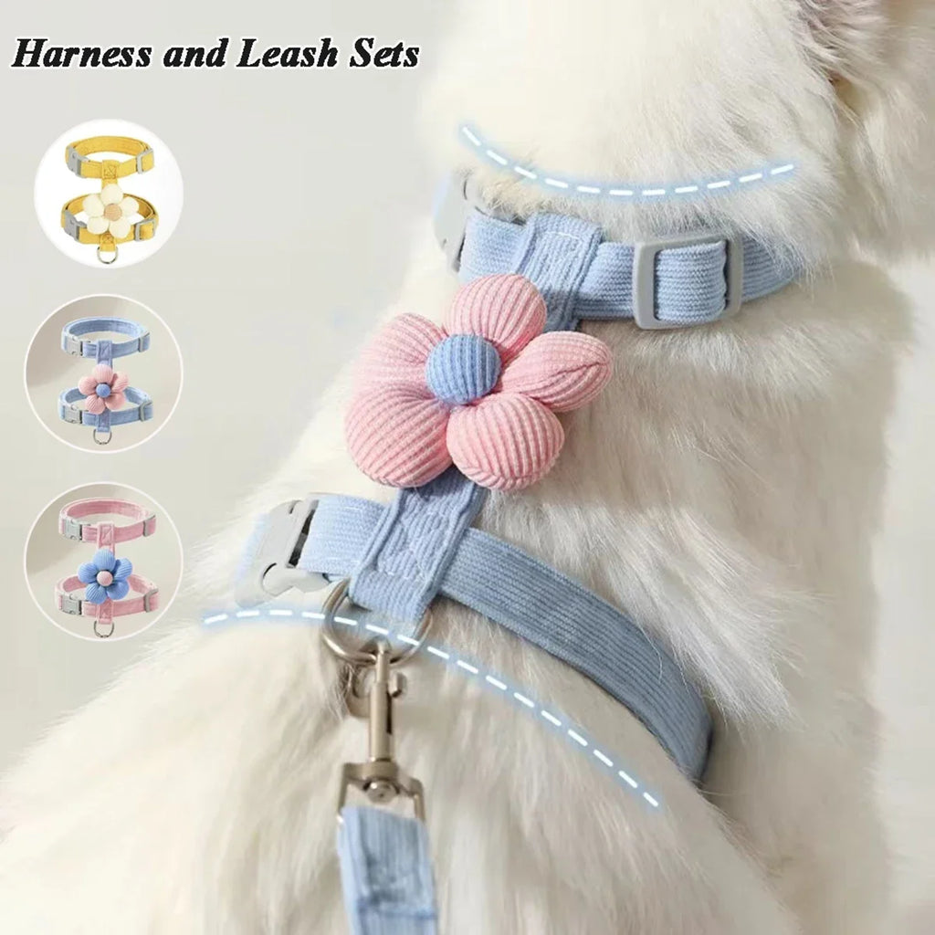 Cat & Dog Harness and Leash Set