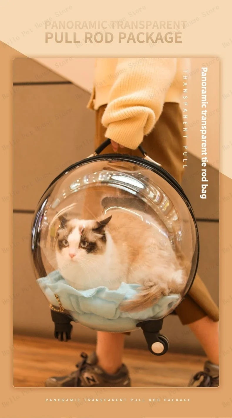 Unique Panoramic Cat Trolley