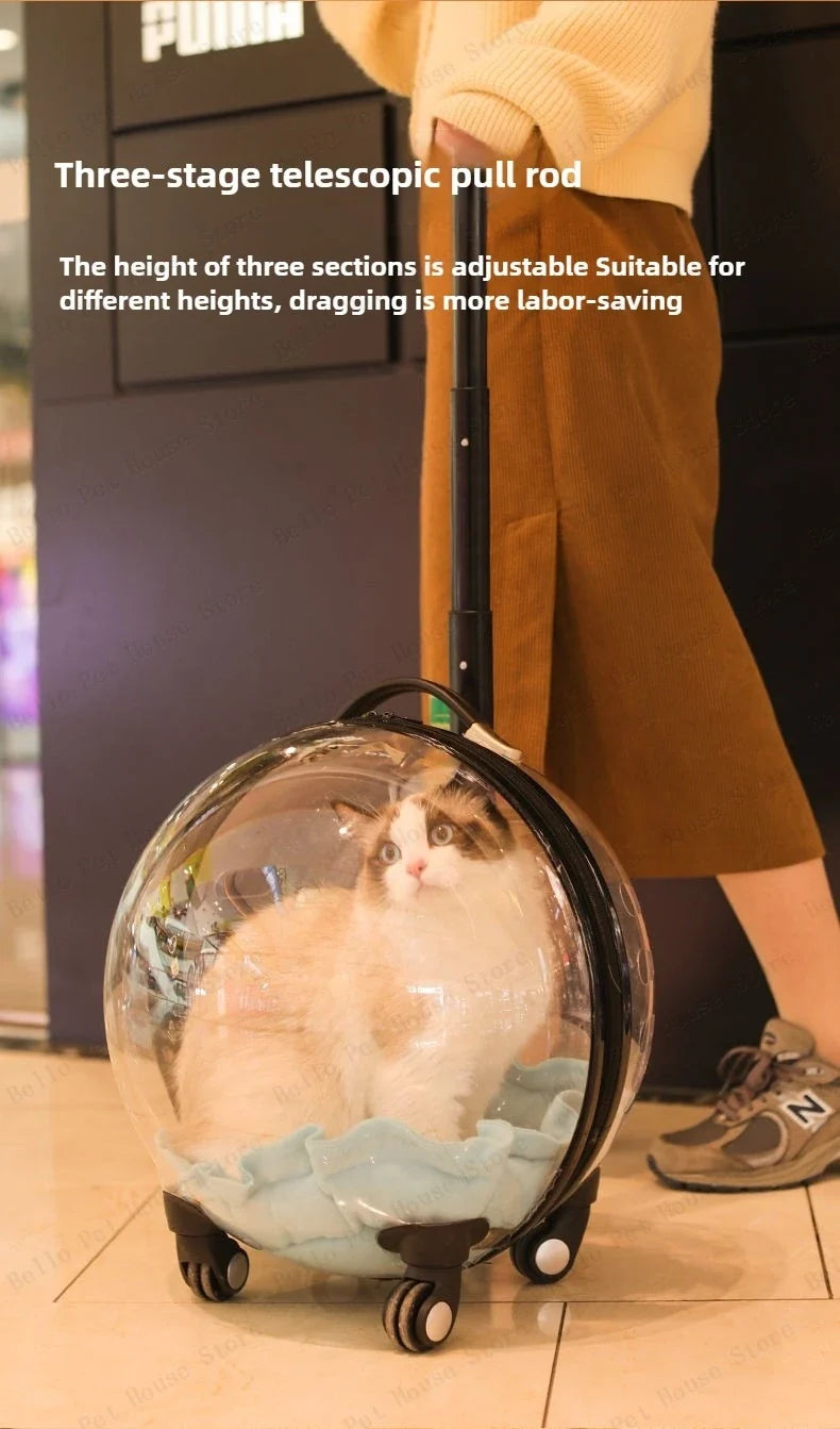 Unique Panoramic Cat Trolley