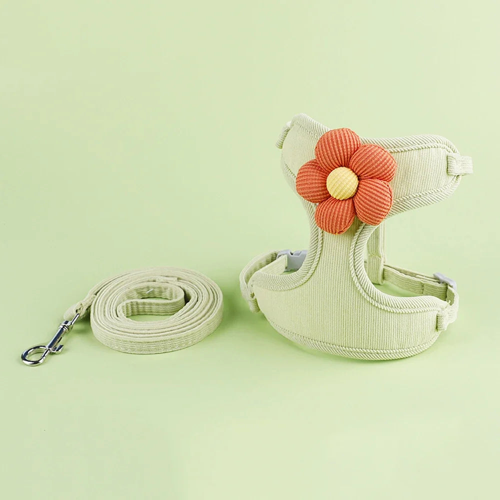 Cat & Dog Harness and Leash Set