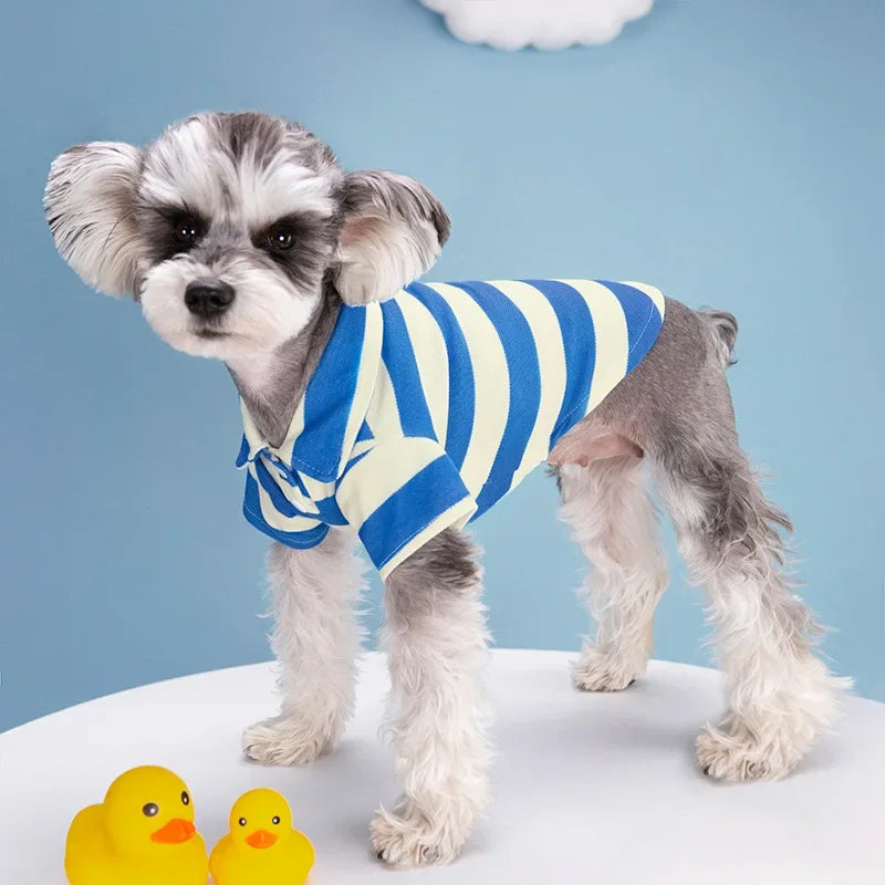 Pet T Shirt for Dogs Cats
