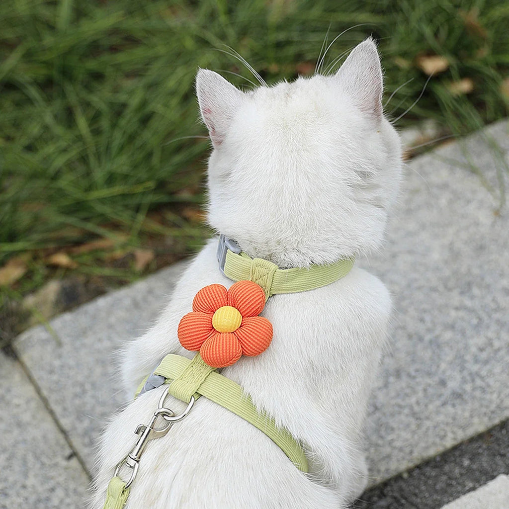 Cat & Dog Harness and Leash Set