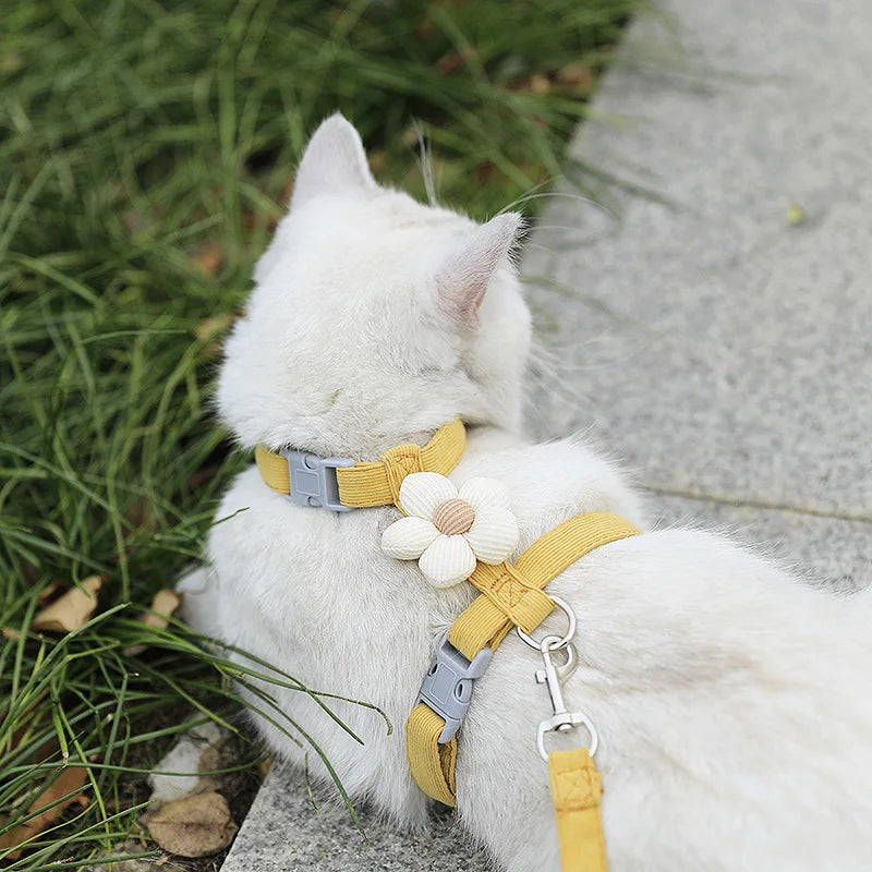 Cat & Dog Harness and Leash Set
