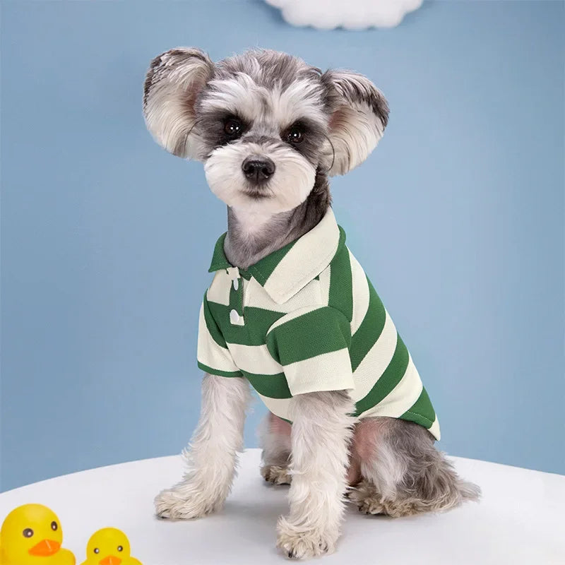 Pet T Shirt for Dogs Cats