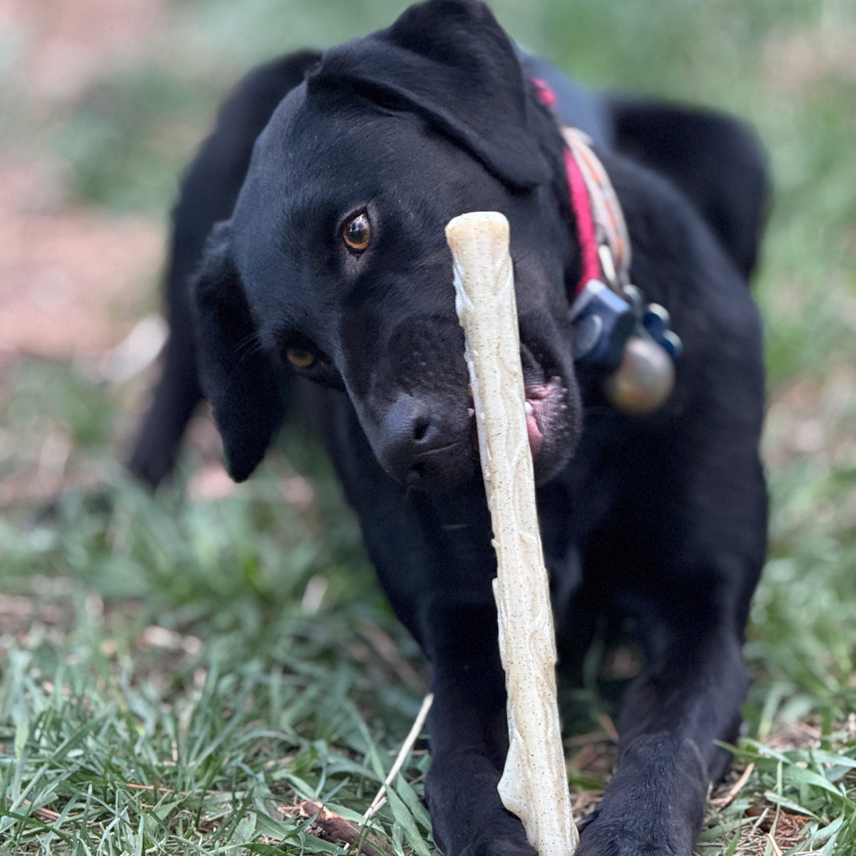 Durable Chew Stick