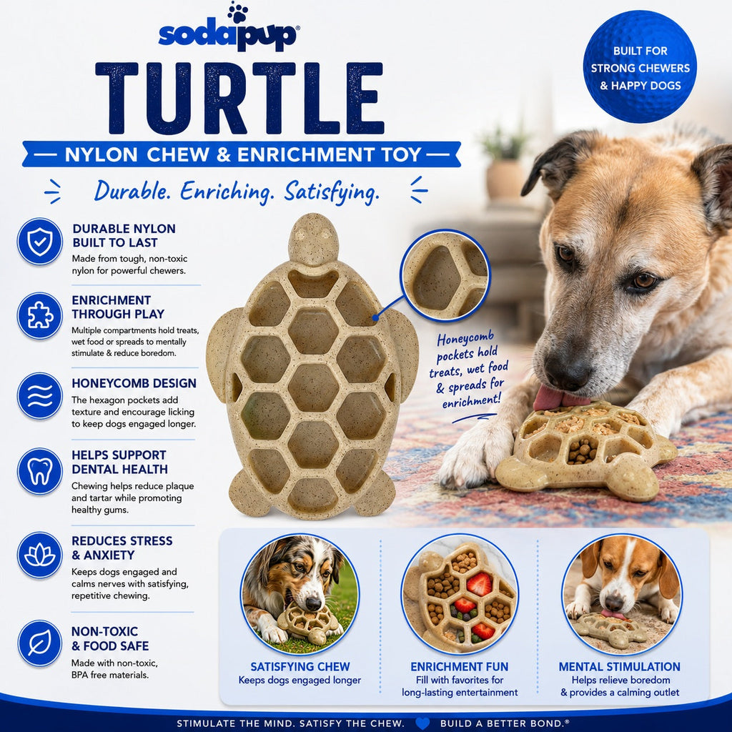 Turtle Chew Toy - Ultra-Durable Enrichment Toy